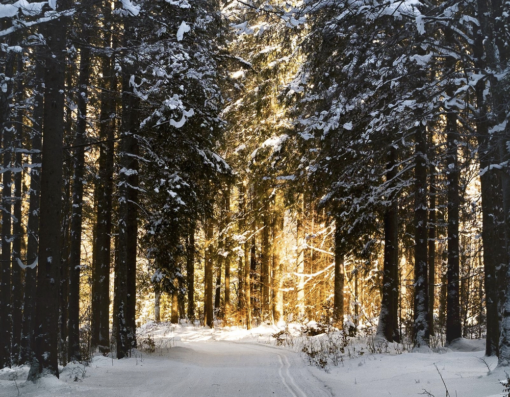 Winter in Northern Michigan